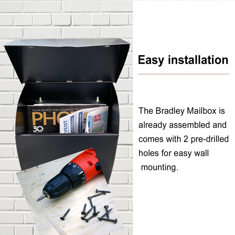 NACH Bradley Steel Wall Mounted Mailbox & Reviews Wayfair
